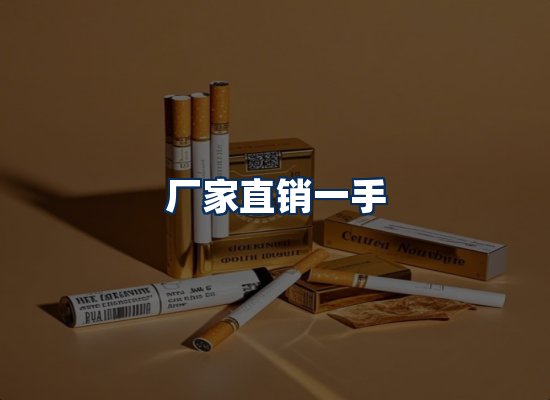 专业团队办公环境